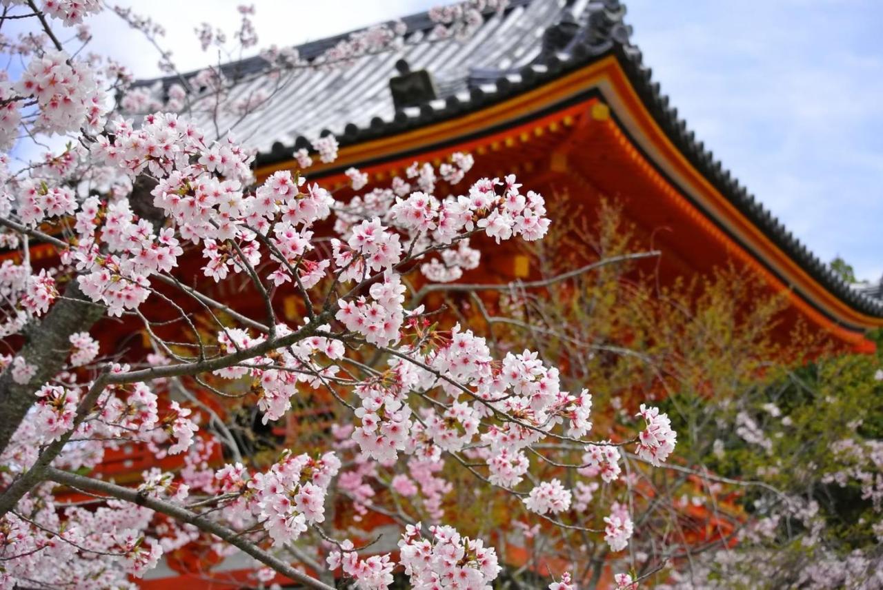 Stay Sakura Kyoto Matsuri — Photos 3